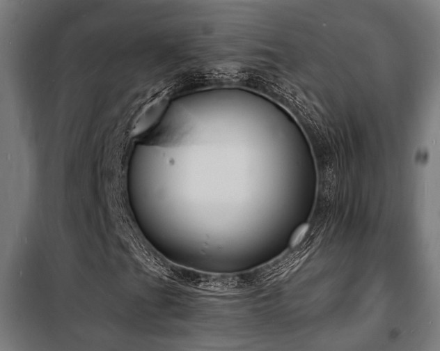 X0000102221201200807251202
