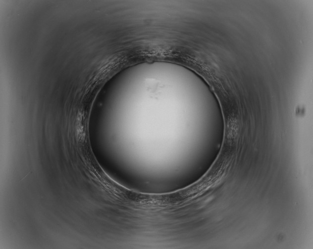 X0000102221202200807251203