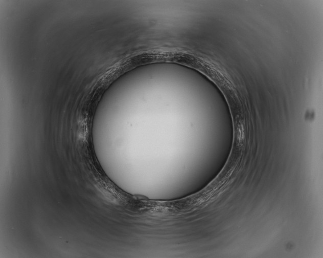 X0000102221204200807251203