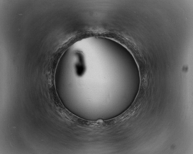 X0000102221205200807251203