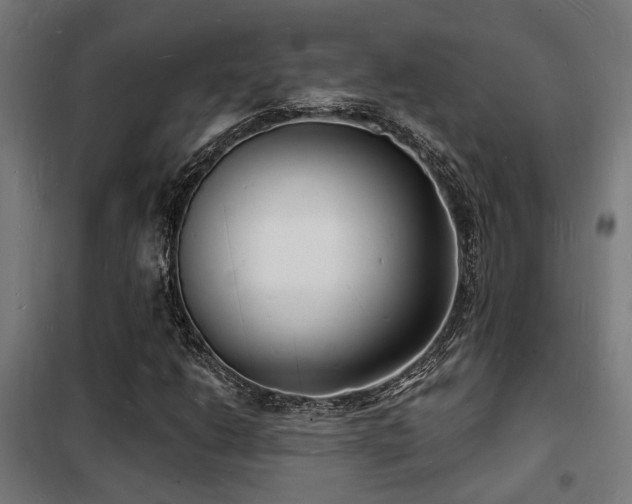 X0000102221206200807251203