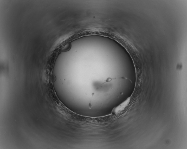 X0000102221207200807251203