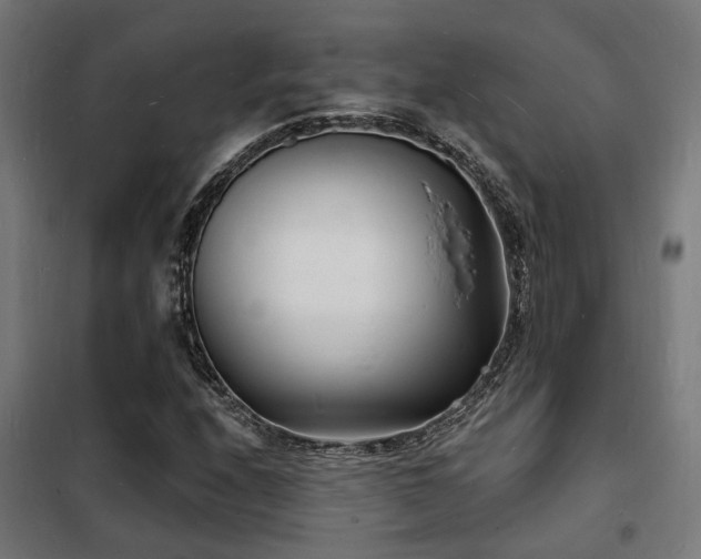 X0000102221208200807251203