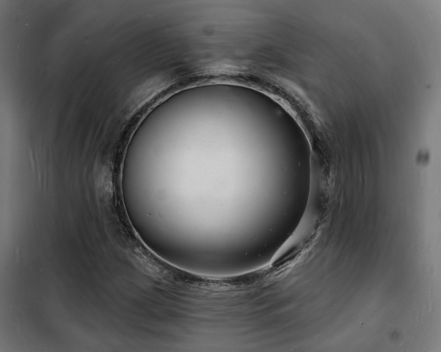 X0000102221209200807251203