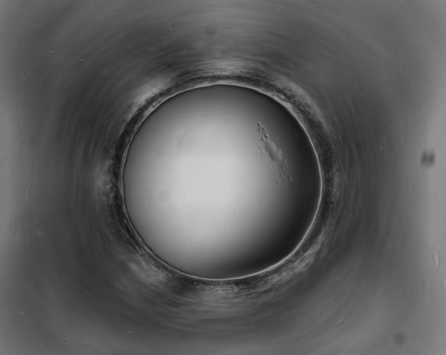 X0000102221210200807251203