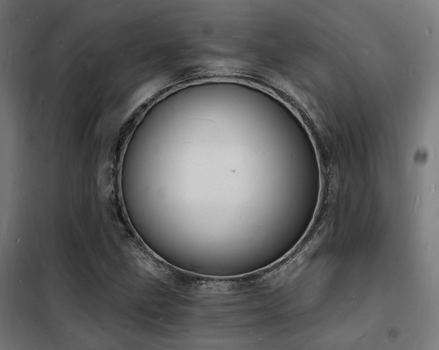 X0000102221211200807251203