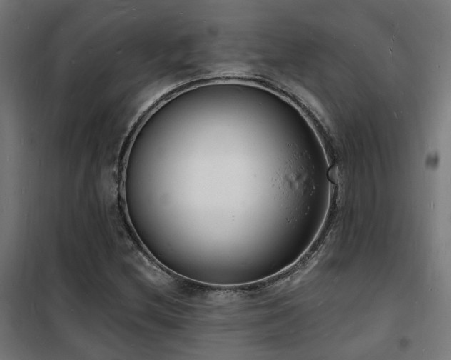 X0000102221212200807251203