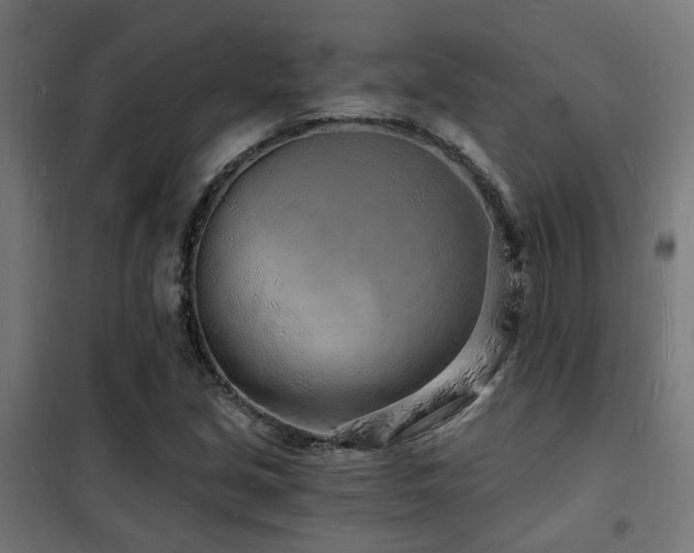 X0000102221213200807251203