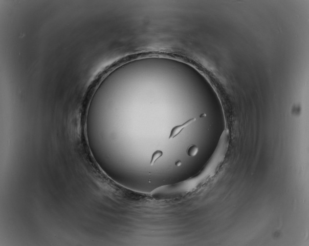 X0000102221214200807251203