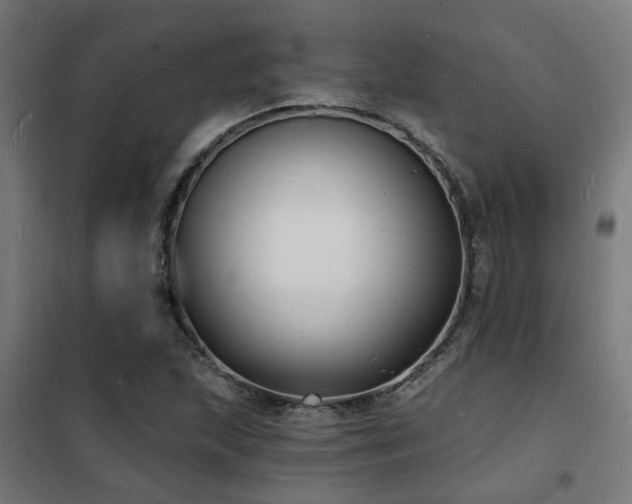 X0000102221215200807251203