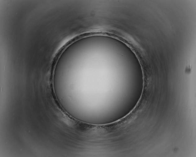 X0000102221216200807251203