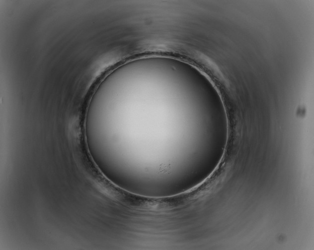 X0000102221218200807251203