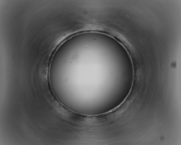 X0000102221220200807251203