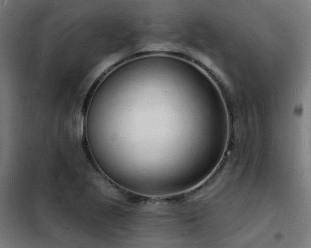 X0000102221221200807251203
