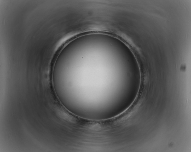 X0000102221222200807251203