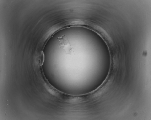 X0000102221225200807251203