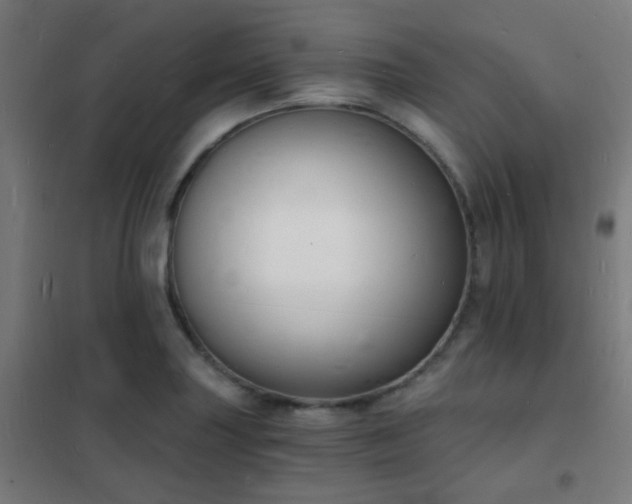 X0000102221227200807251203