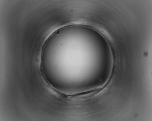 X0000102221228200807251203