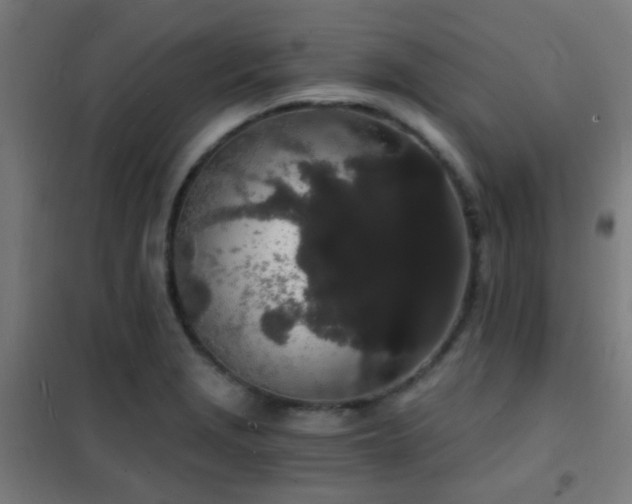 X0000102221229200807251203