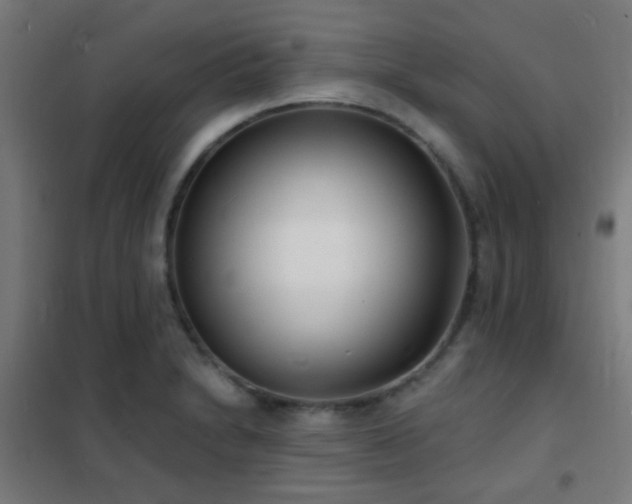 X0000102221230200807251203