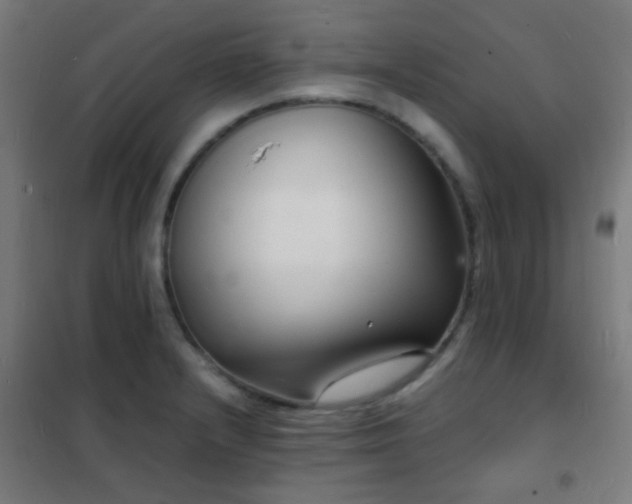 X0000102221232200807251203