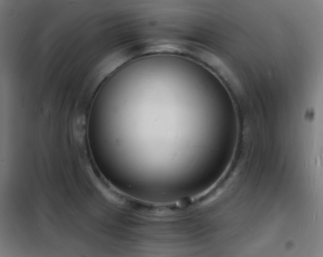 X0000102221233200807251203