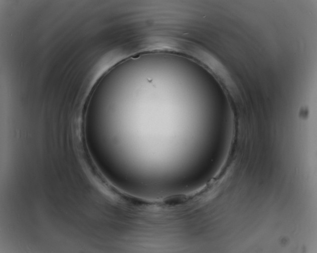 X0000102221234200807251203