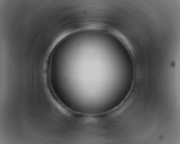 X0000102221235200807251203