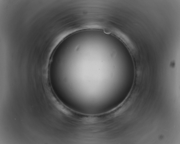 X0000102221236200807251203