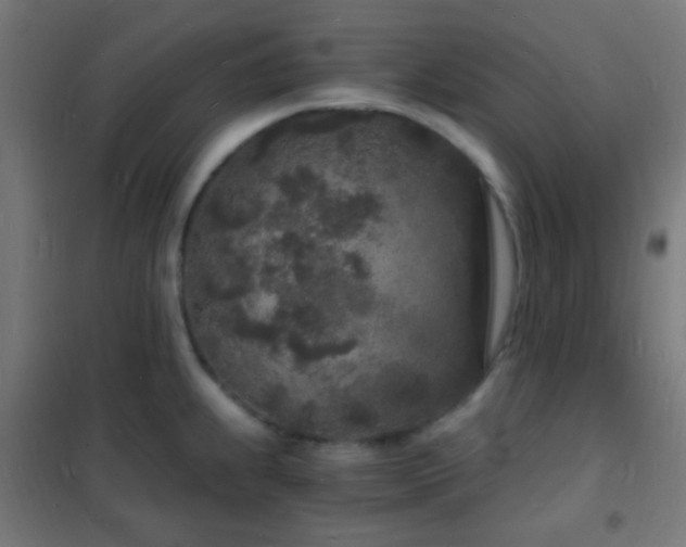 X0000102221239200807251203