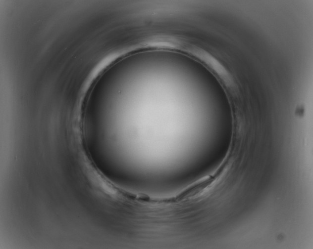 X0000102221240200807251203
