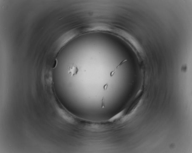 X0000102221241200807251203