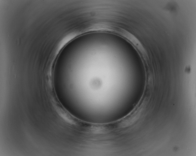 X0000102221242200807251203
