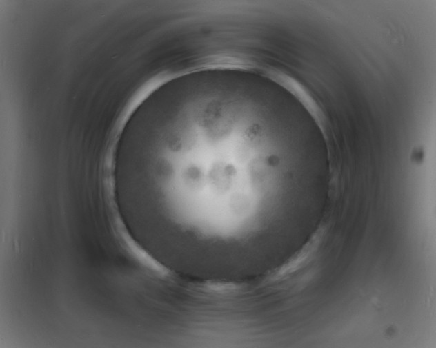 X0000102221243200807251203