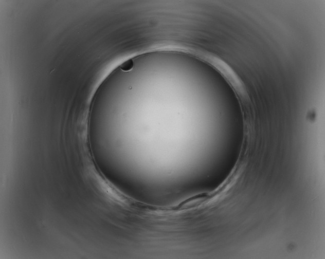 X0000102221244200807251203