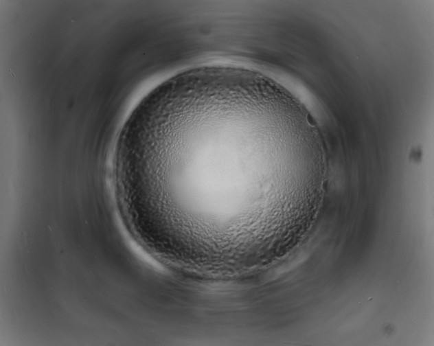 X0000102221247200807251203