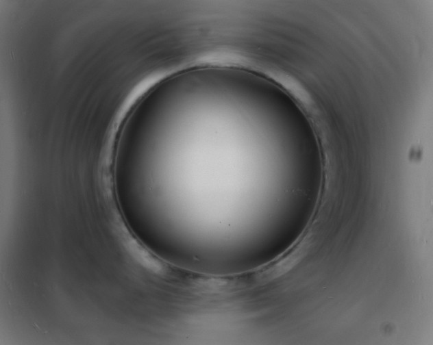 X0000102221248200807251203