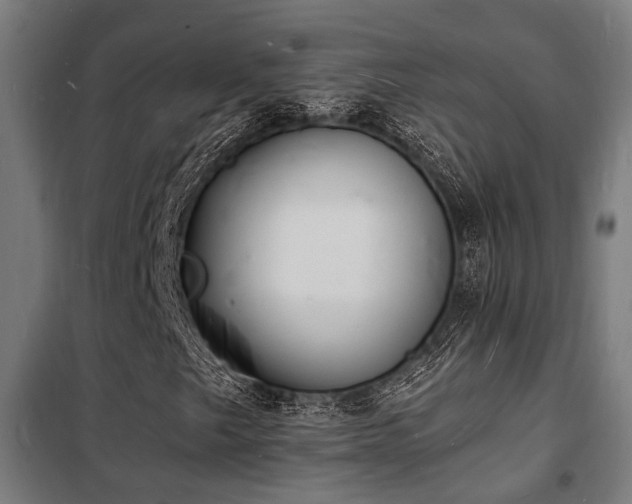 X0000102221249200807251202