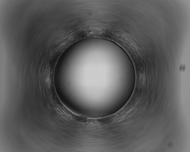 X0000102221250200807251202