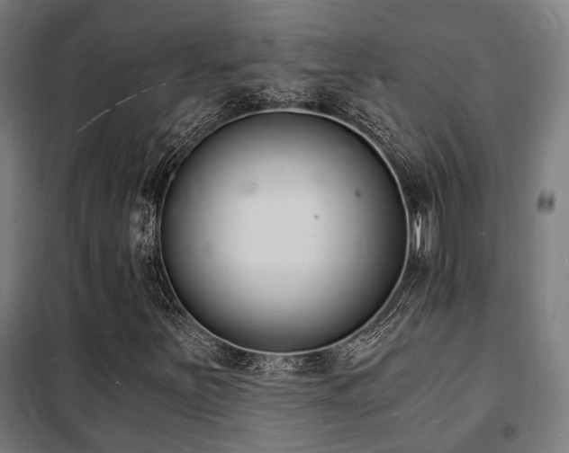 X0000102221251200807251202