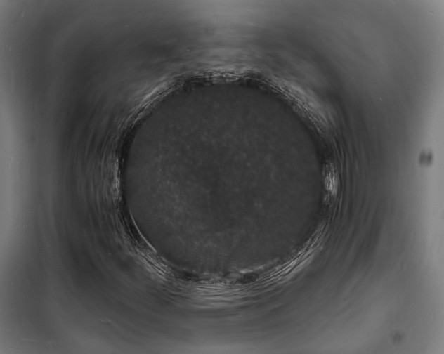 X0000102221252200807251202