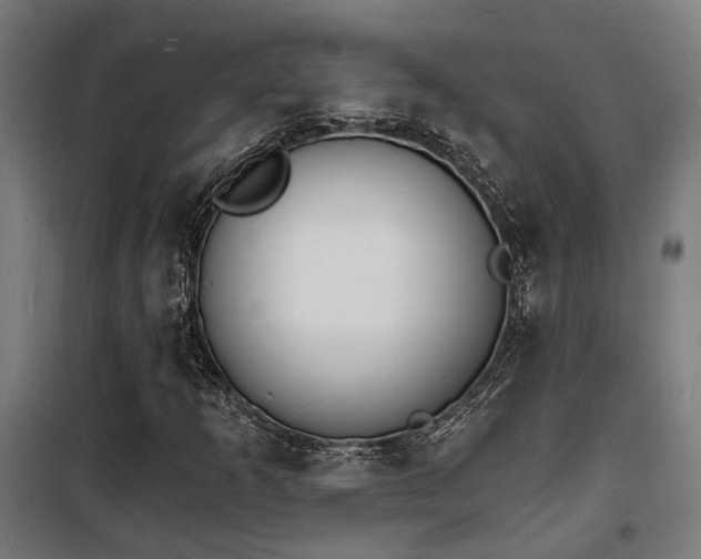 X0000102221253200807251202