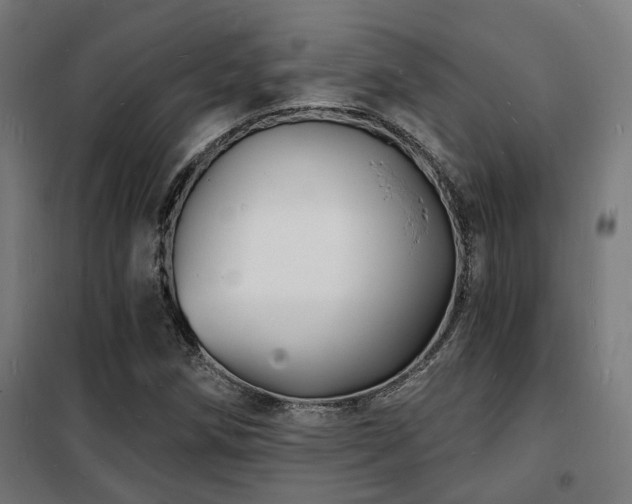 X0000102221258200807251202