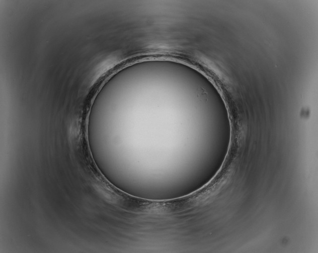 X0000102221259200807251202