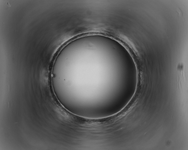 X0000102221260200807251202