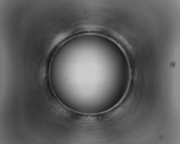 X0000102221261200807251202