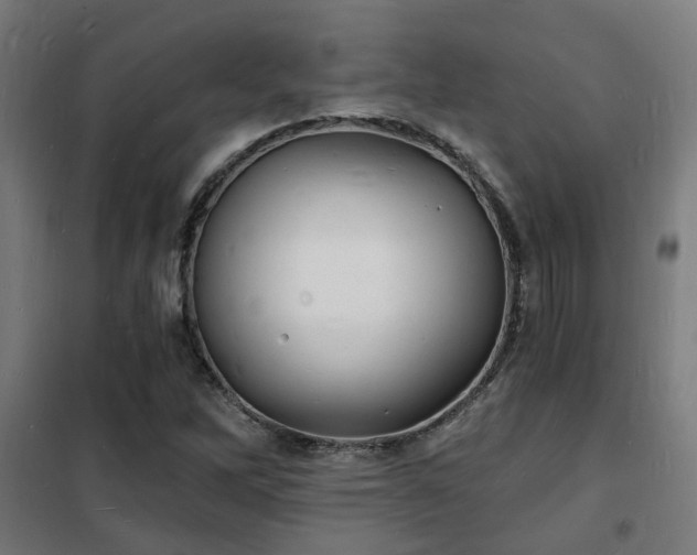 X0000102221262200807251202