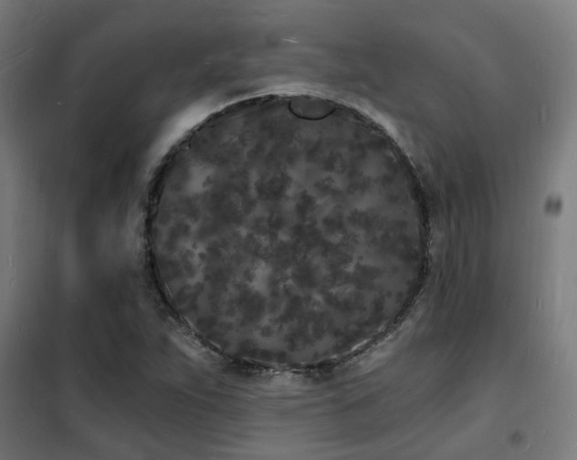 X0000102221263200807251202