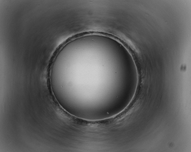 X0000102221264200807251202