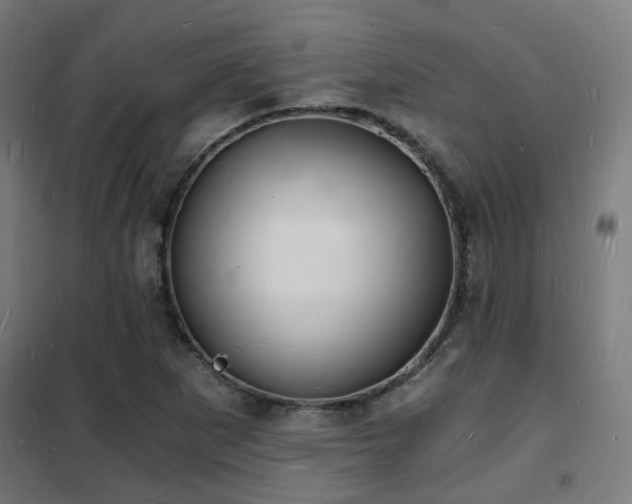 X0000102221265200807251202
